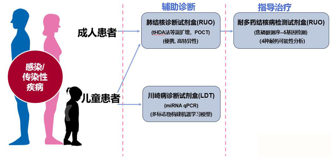 感染传染伴随诊断